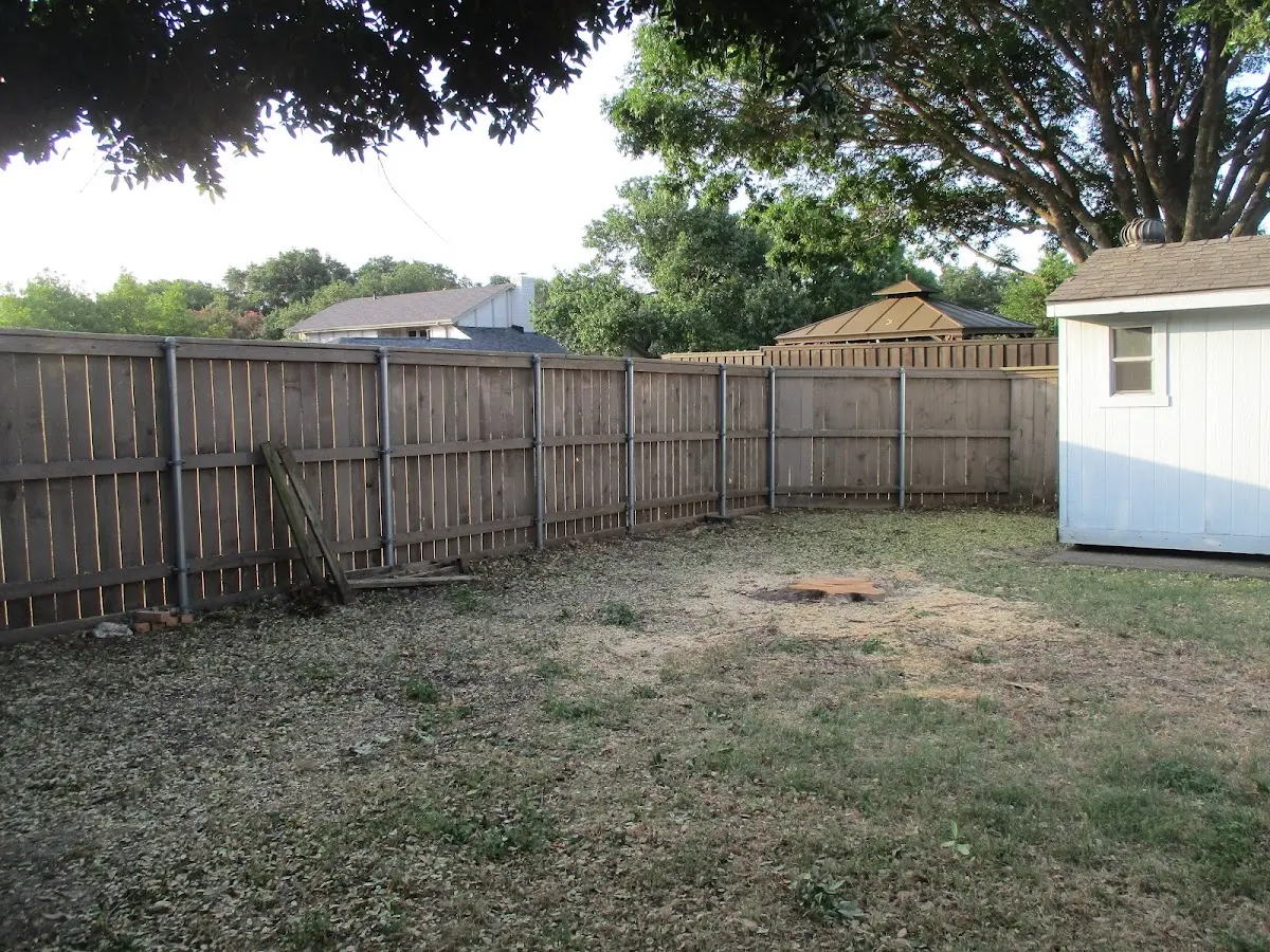 Cleared yard after professional tree removal in Oak Hill